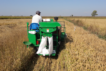 Plot harvester (mini plot combine)